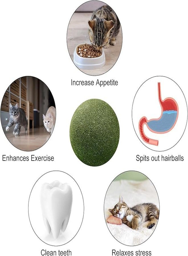 PARVY® Catnip Mint Ball for Cats Interactive Dental Chew Toy Natural Teeth Cleaning Rotating Mint Ball for Indoor Cats and Kittens (Pack of 2) - Image 4